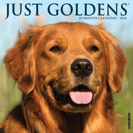 Willow Creek Golden Retriever Kalender 2026