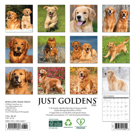 Willow Creek Golden Retriever Kalender 2026 Mini