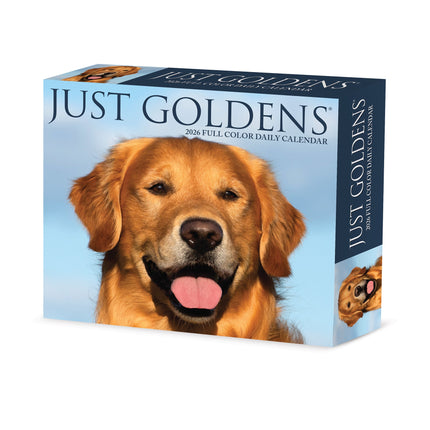 Willow Creek Golden Retriever Scheurkalender 2026 Boxed