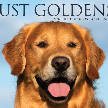 Willow Creek Golden Retriever Scheurkalender 2026 Boxed