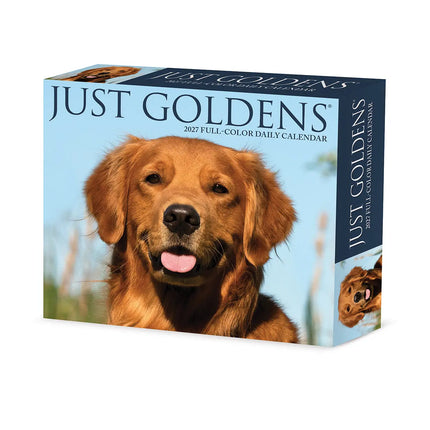 Willow Creek Golden Retriever Scheurkalender 2027 Boxed