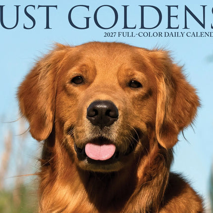 Willow Creek Golden Retriever Scheurkalender 2027 Boxed