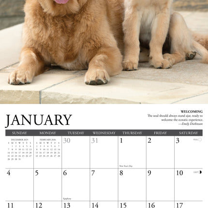Willow Creek Golden Rules Kalender 2026