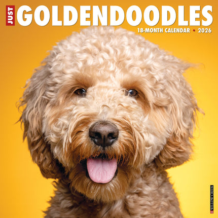 Willow Creek Goldendoodle Kalender 2026