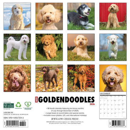 Willow Creek Goldendoodle Kalender 2026