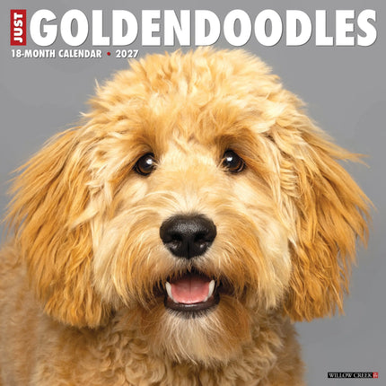 Willow Creek Goldendoodle Kalender 2026