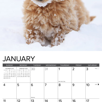 Willow Creek Goldendoodle Puppies Kalender 2026