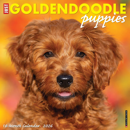 Willow Creek Goldendoodle Puppies Kalender 2026