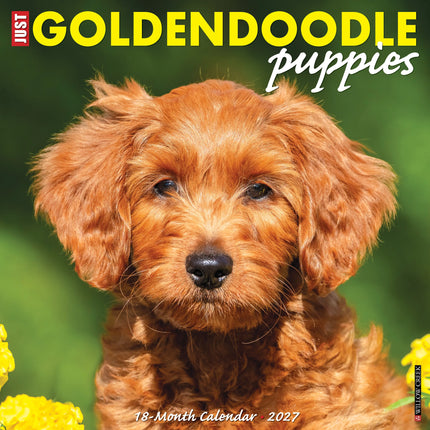 Willow Creek Goldendoodle Puppies Kalender 2026