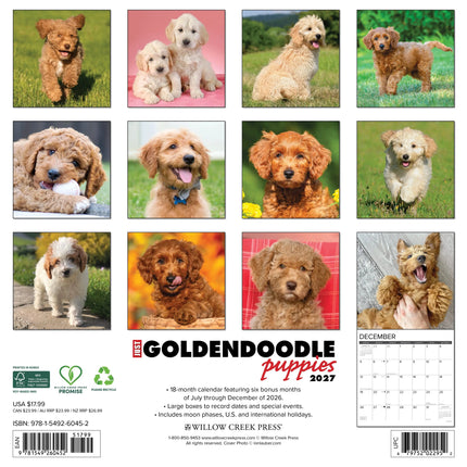 Willow Creek Goldendoodle Puppies Kalender 2027