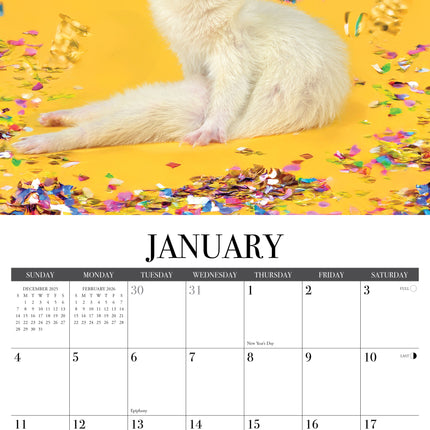 Willow Creek Grappige Fret Kalender 2026