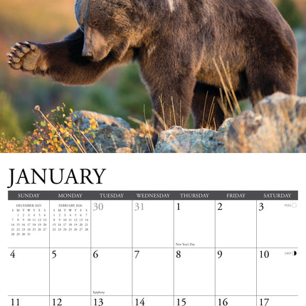 Willow Creek Grizzlies Kalender 2026