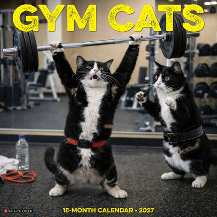 Willow Creek Gym Cats Kalender 2027