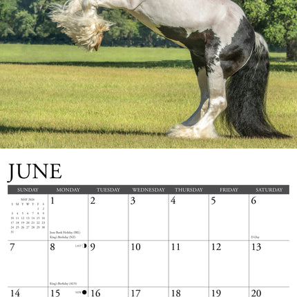 Willow Creek Gypsy Vanner Kalender 2026