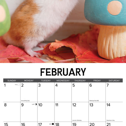 Willow Creek Hamsters Kalender 2026