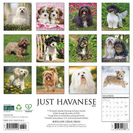 Willow Creek Havanezer Kalender 2026