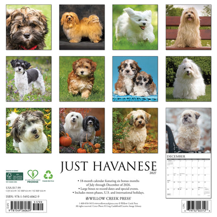 Willow Creek Havanezer Kalender 2027