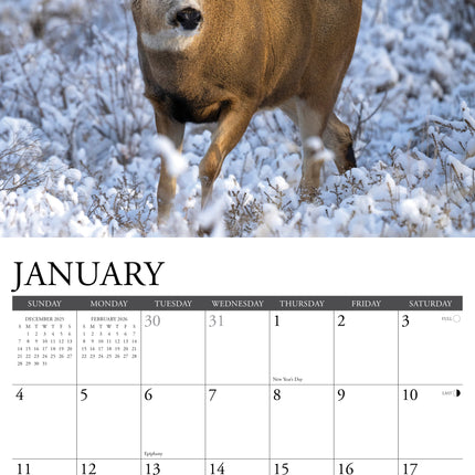 Willow Creek Herten Kalender 2026