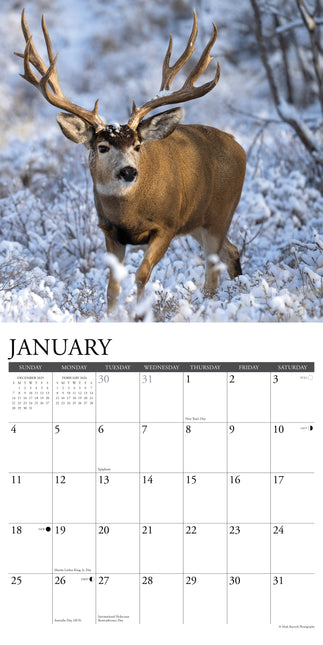 Willow Creek Herten Kalender 2026