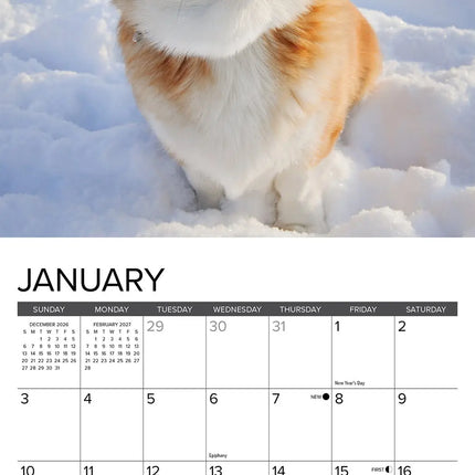 Willow Creek Honden Kalender 2027 Mini