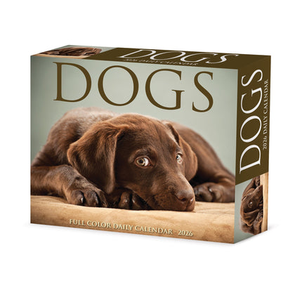 Willow Creek Honden  Scheurkalender 2026 Boxed