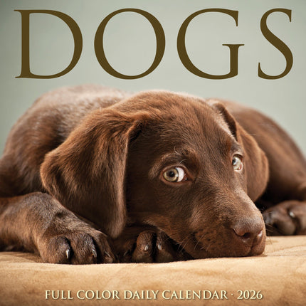 Willow Creek Honden  Scheurkalender 2026 Boxed