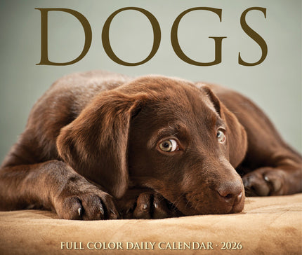 Willow Creek Honden  Scheurkalender 2026 Boxed