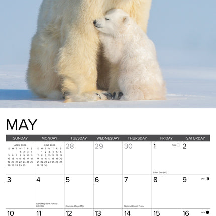 Willow Creek IJsberen Kalender 2026