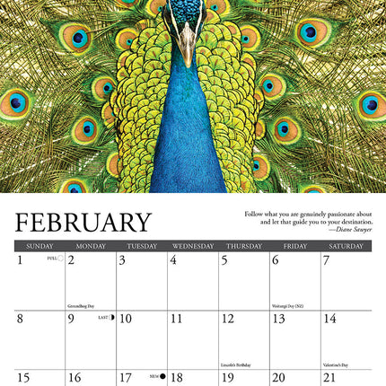 Willow Creek Inspiratie Kalender 2026 Mini