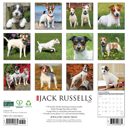Willow Creek Jack Russell Terrier Kalender 2027