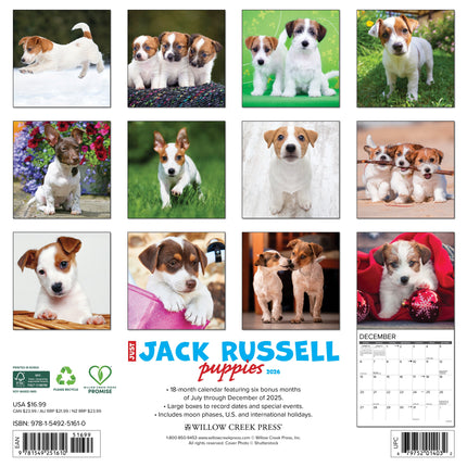 Willow Creek Jack Russell Terrier Puppies Kalender 2026