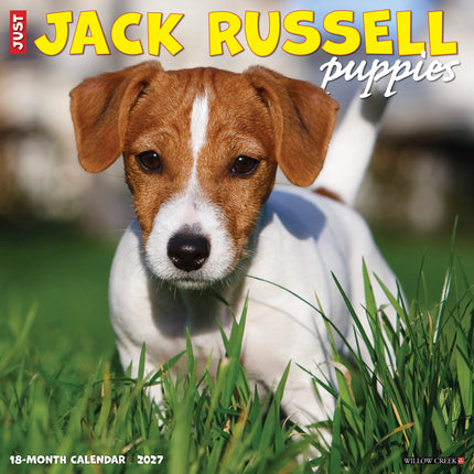 Willow Creek Jack Russell Terrier Puppies Kalender 2027