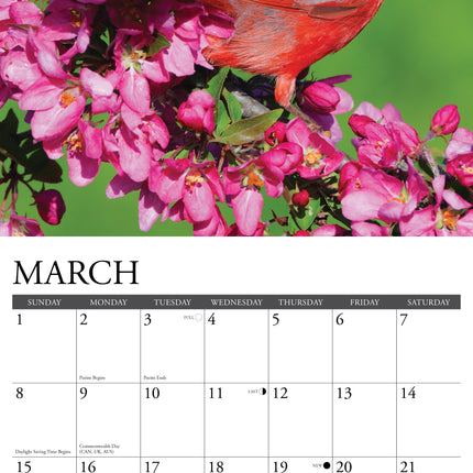 Willow Creek Kardinaal Kalender 2026