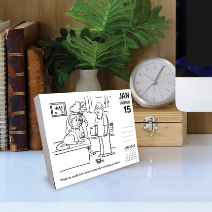 Willow Creek Katten Cartoon Scheurkalender 2026 Boxed