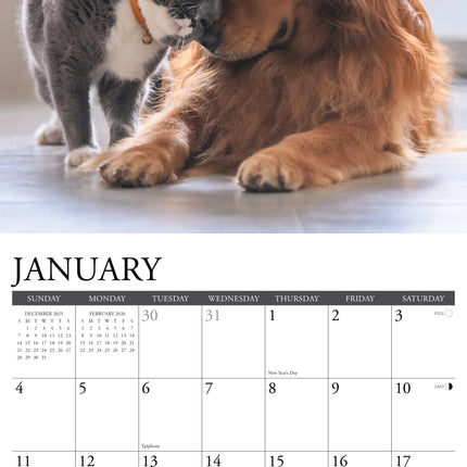 Willow Creek Katten en Honden Kalender 2026