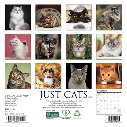 Willow Creek Katten Kalender 2027 Mini