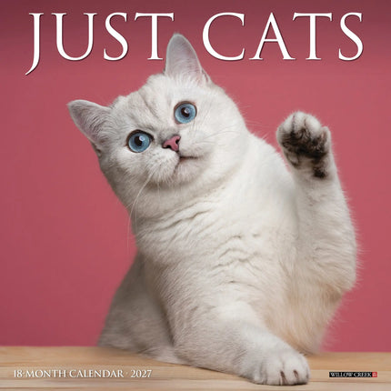 Willow Creek Katten Kalender 2027 Mini
