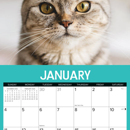 Willow Creek Kattitudes Kalender 2026