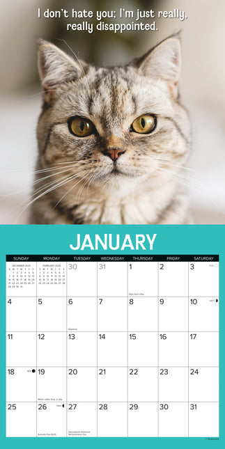Willow Creek Kattitudes Kalender 2026