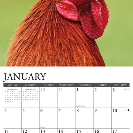 Willow Creek Kippen Kalender 2026