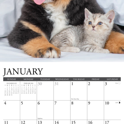 Willow Creek Kittens en Puppies Kalender 2026