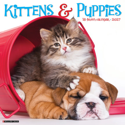 Willow Creek Kittens en Puppies Kalender 2027