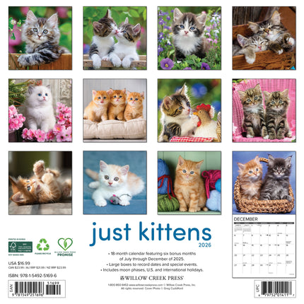 Willow Creek Kittens Kalender 2026