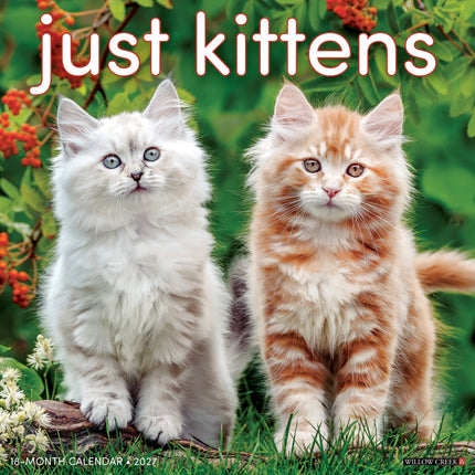 Willow Creek Kittens Kalender 2027