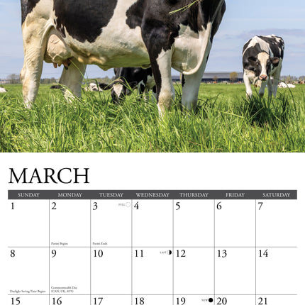 Willow Creek Koeien Kalender 2026