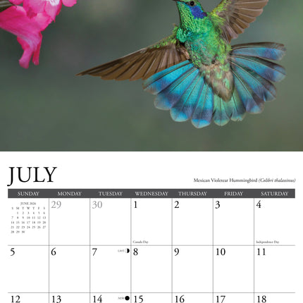Willow Creek Kolibries Kalender 2026