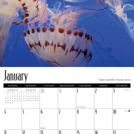 Willow Creek Kwallen Kalender 2026