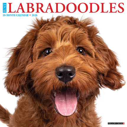 Willow Creek Labradoodle Kalender 2027