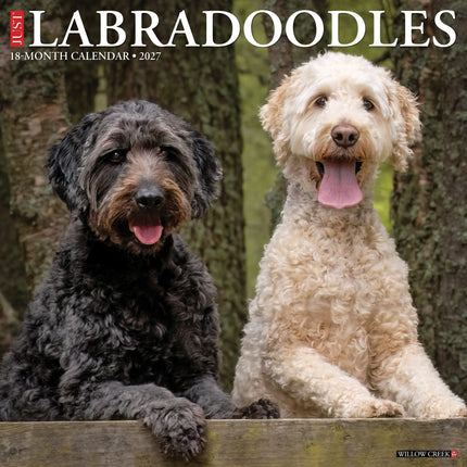 Willow Creek Labradoodle Kalender 2027
