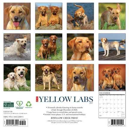Willow Creek Labrador Retriever Blond Kalender 2027